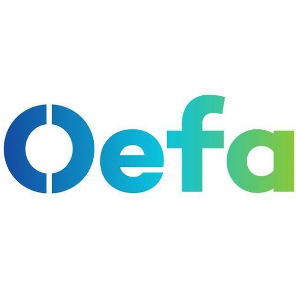 OEFA - Espinar